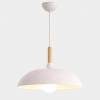 Lustre Suspendu en Bois et Métal Rose – Culot E27