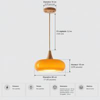 Lustre Suspendu Rétro Orange – Abat-jour unique