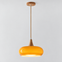 Lustre Suspendu Rétro Orange – Abat-jour unique